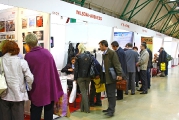 Heat Treatment-2010 Exhibition's pavillion